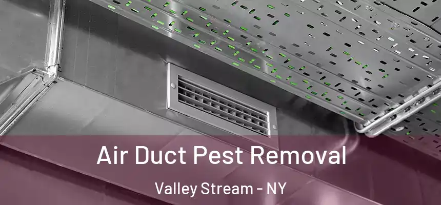 Air Duct Pest Removal Valley Stream - NY