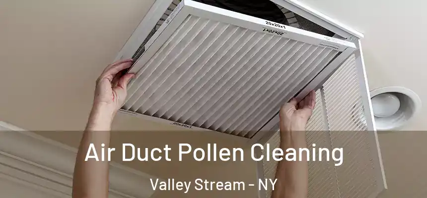 Air Duct Pollen Cleaning Valley Stream - NY