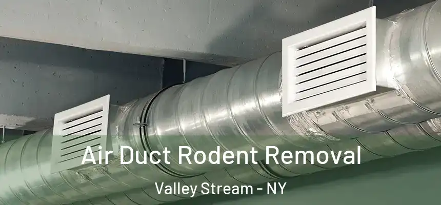 Air Duct Rodent Removal Valley Stream - NY