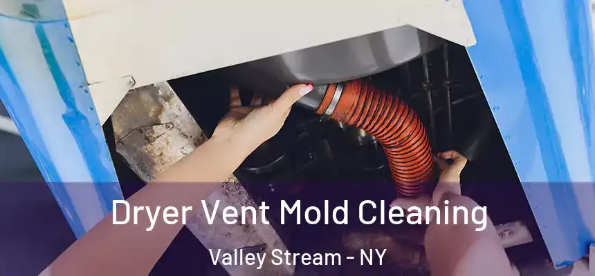 Dryer Vent Mold Cleaning Valley Stream - NY