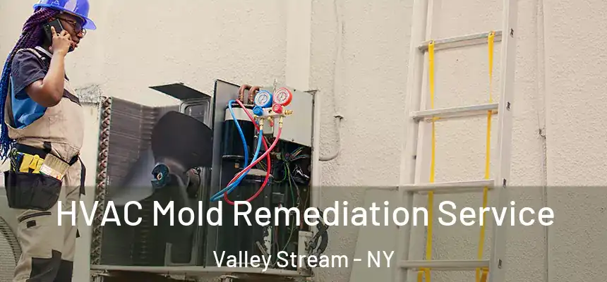 HVAC Mold Remediation Service Valley Stream - NY