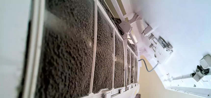 Preventive Air Duct Bacteria Removal in Valley Stream