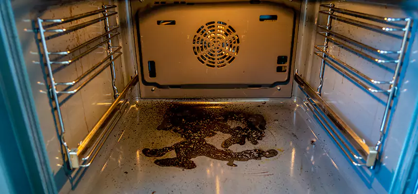 Our Dryer Vent Mold Cleaning Services in Valley Stream, NY