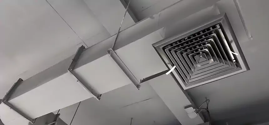 Our Pest Removal From Ducts Services in Valley Stream, NY