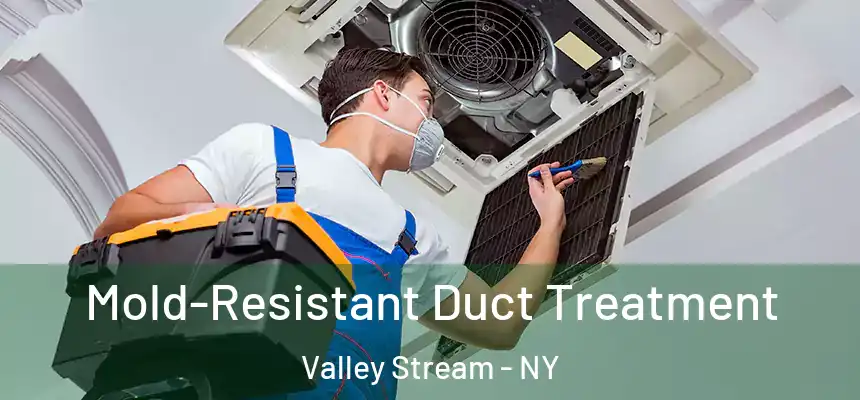 Mold-Resistant Duct Treatment Valley Stream - NY