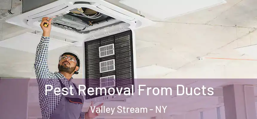 Pest Removal From Ducts Valley Stream - NY