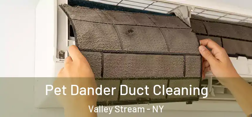 Pet Dander Duct Cleaning Valley Stream - NY