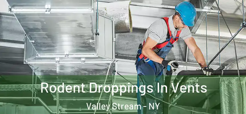  Rodent Droppings In Vents Valley Stream - NY