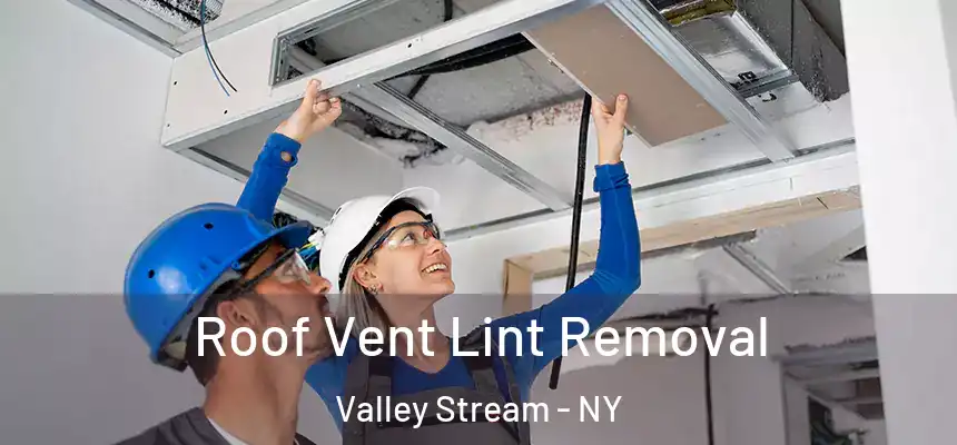  Roof Vent Lint Removal Valley Stream - NY