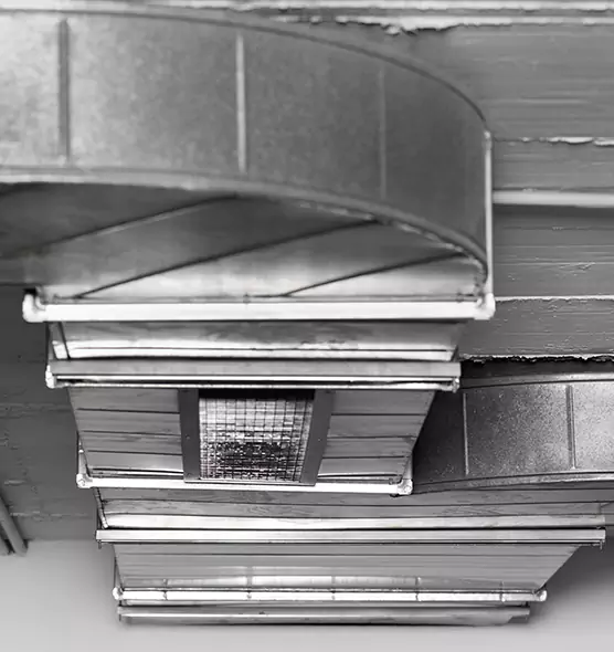 Professional Air Duct Pet Hair Removal in Valley Stream, NY