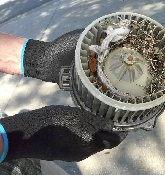 About Air Duct Rat Removal in Valley Stream, NY