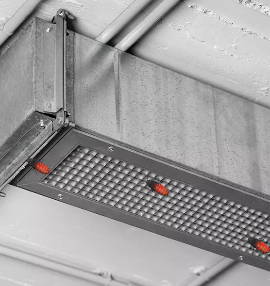 Affordable Insect Removal from Air Ducts in Valley Stream, NY